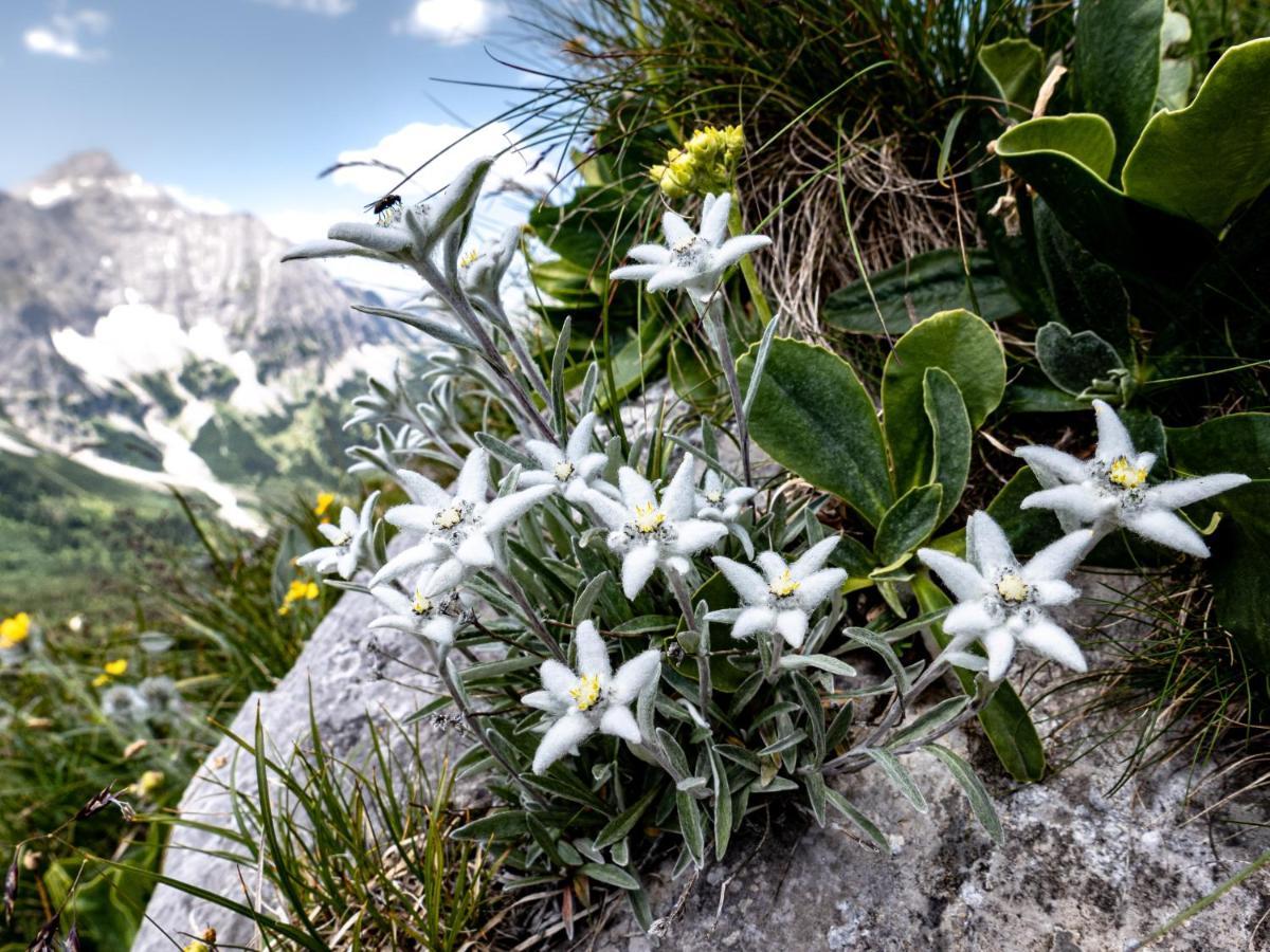 Das Naturhotel Die Eng هينتيريس المظهر الخارجي الصورة