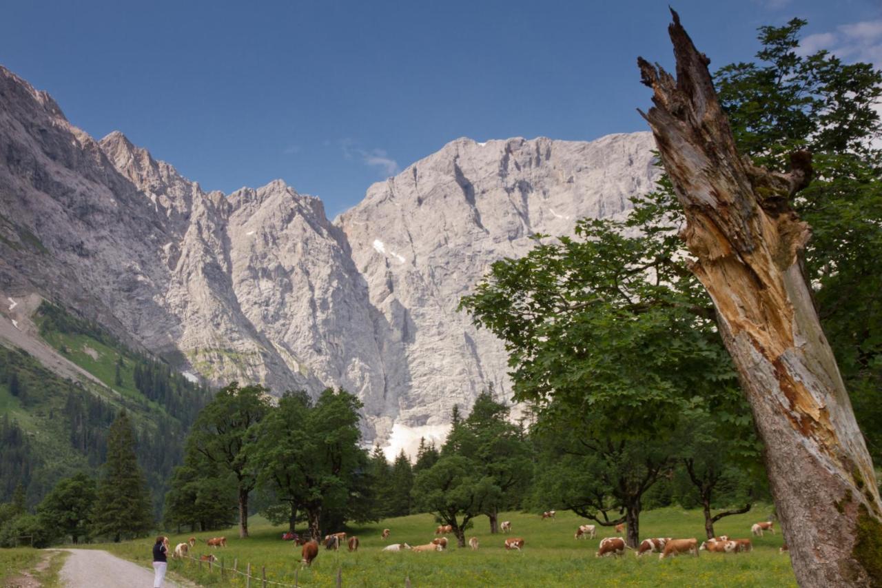 Das Naturhotel Die Eng هينتيريس المظهر الخارجي الصورة